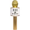 Караоке Мікрофон-колонка Q88 Golden